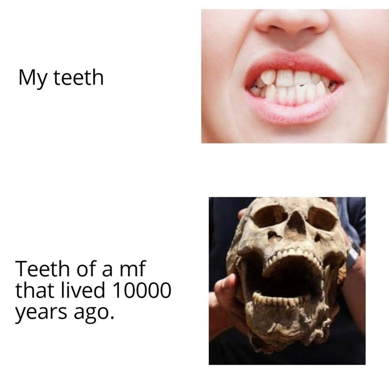 1703963207929.png