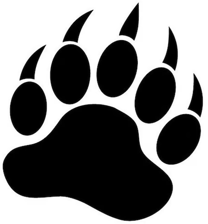 1704153459241.png