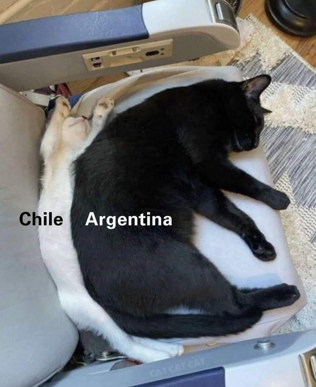 1705234876503.png