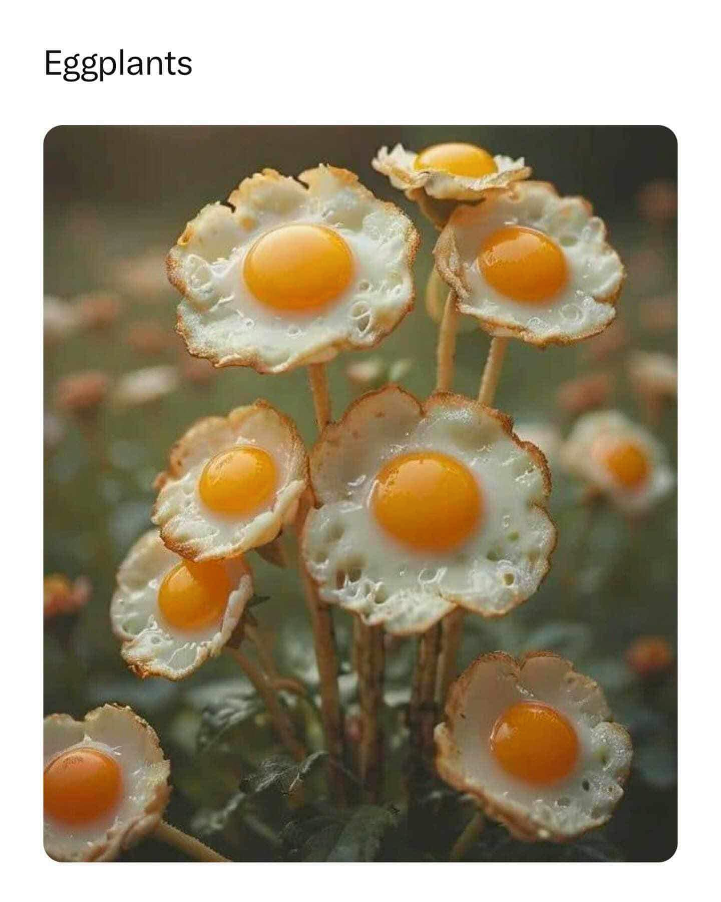 1705847176238.png