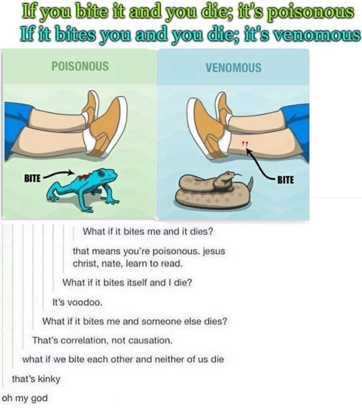1706506260640.png