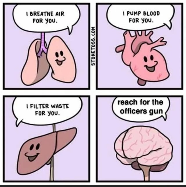1706723338428.jpeg