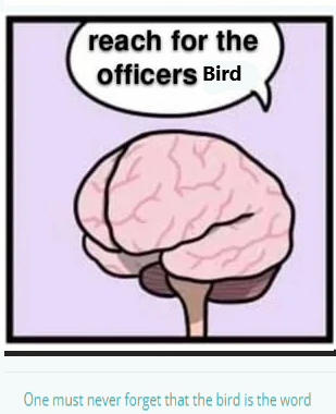 1706724187075.png
