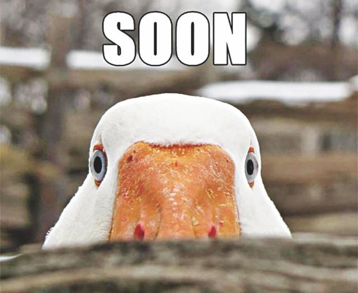 1706984120127.jpeg