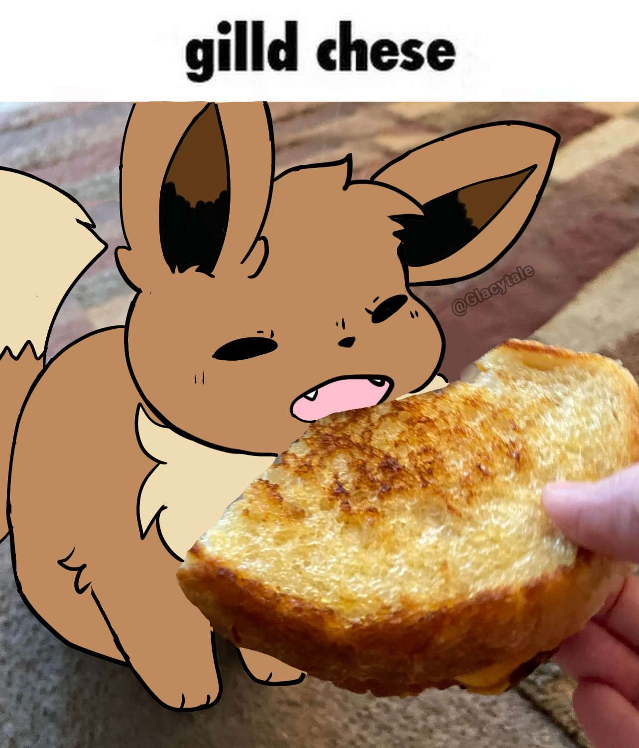 1707627020260.png