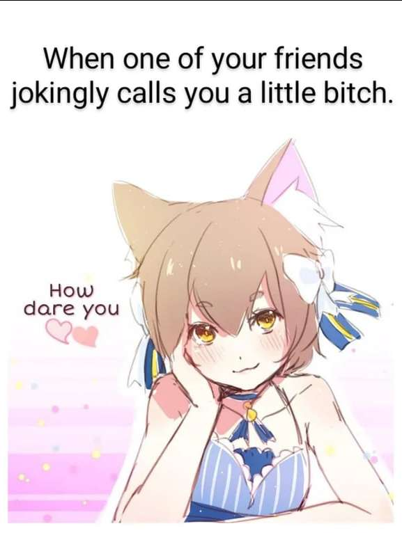 1707902818990.png