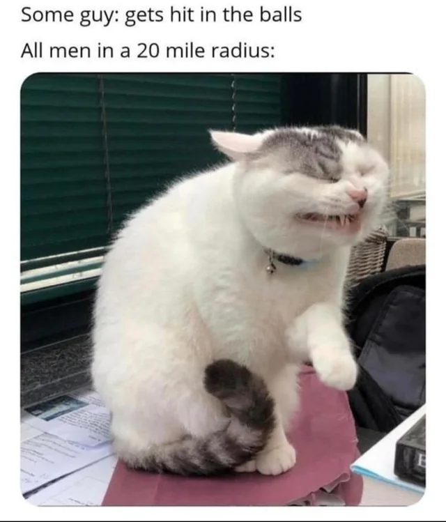 1708049442866.png