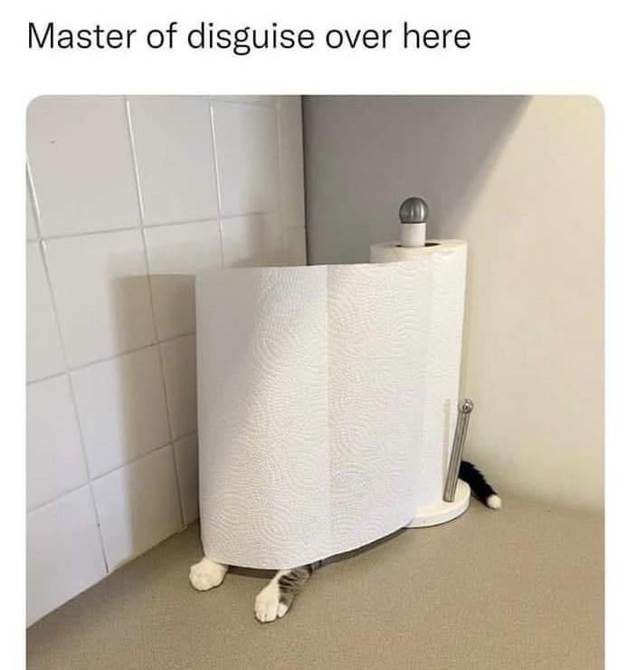 1708503281781.png