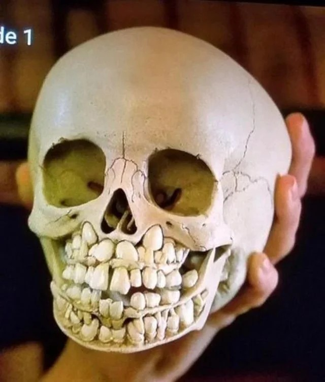 1709575256242.png