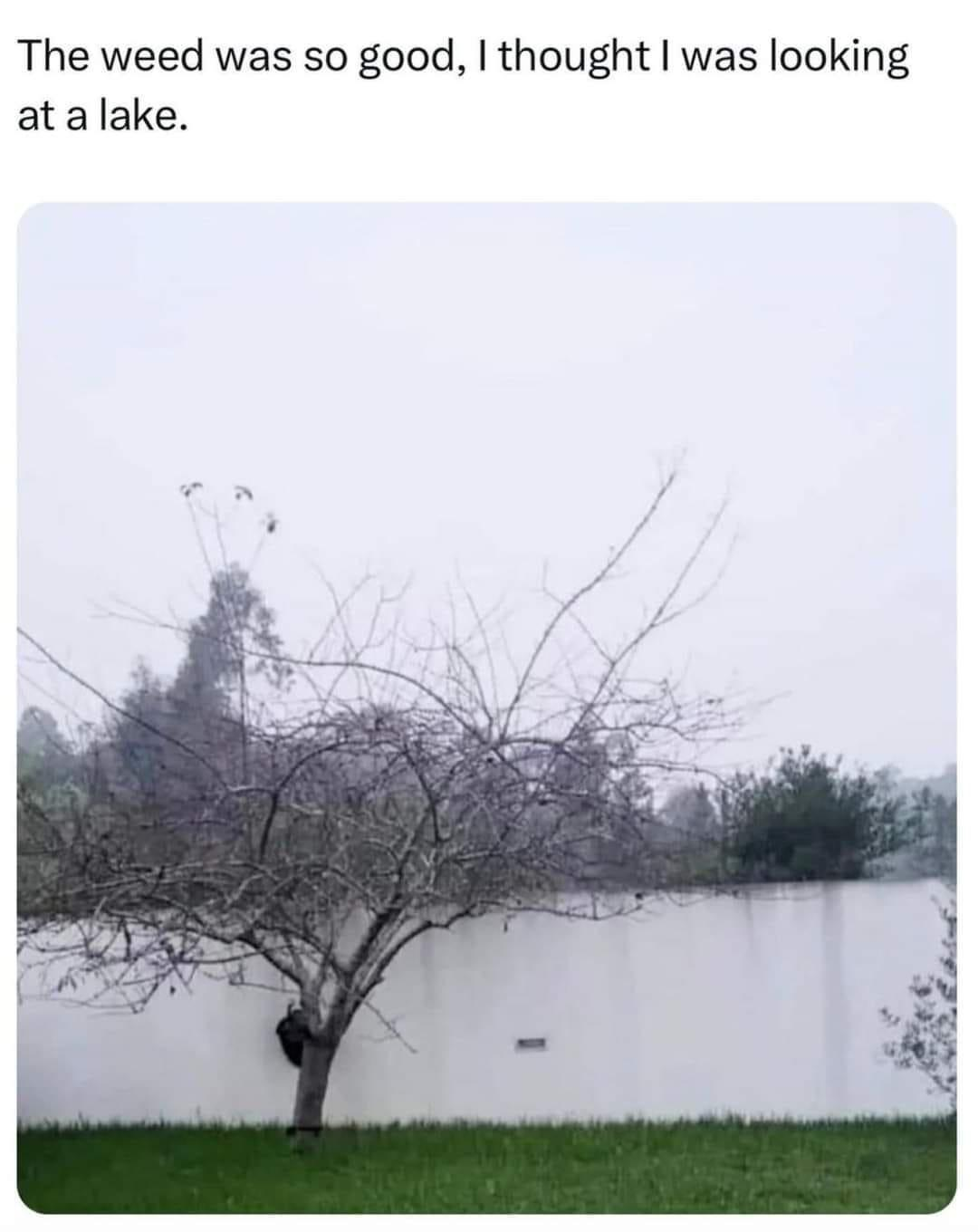 1709757629293.png