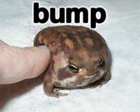 1709853710999.jpeg