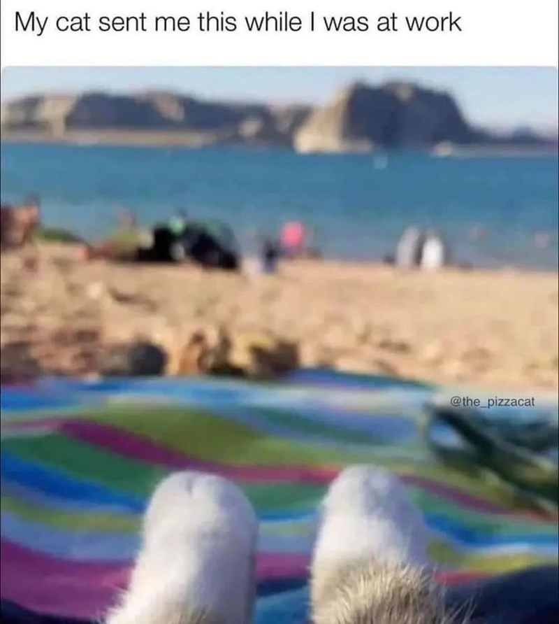 1709868874785.jpeg