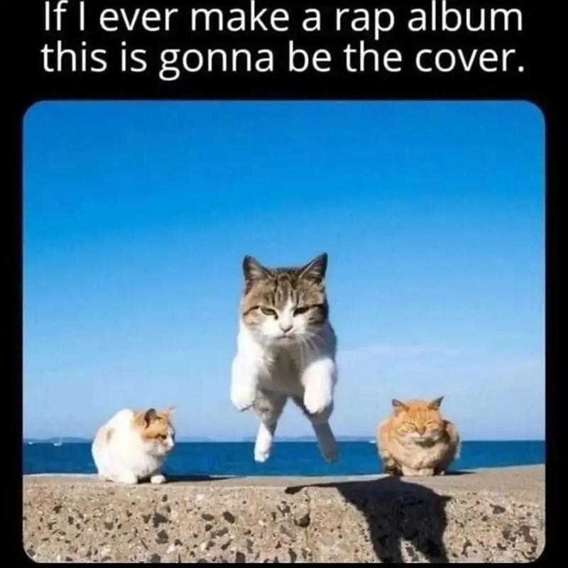 1709877027937.jpeg