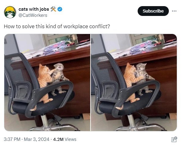 1709883714546.jpeg
