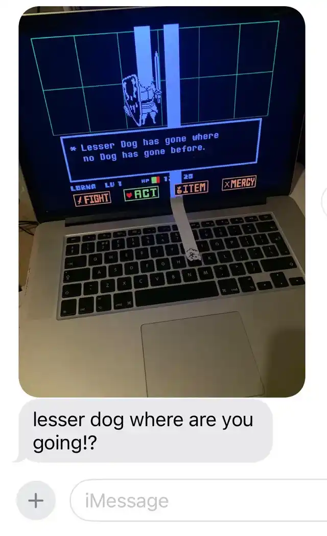 1709919688530.png