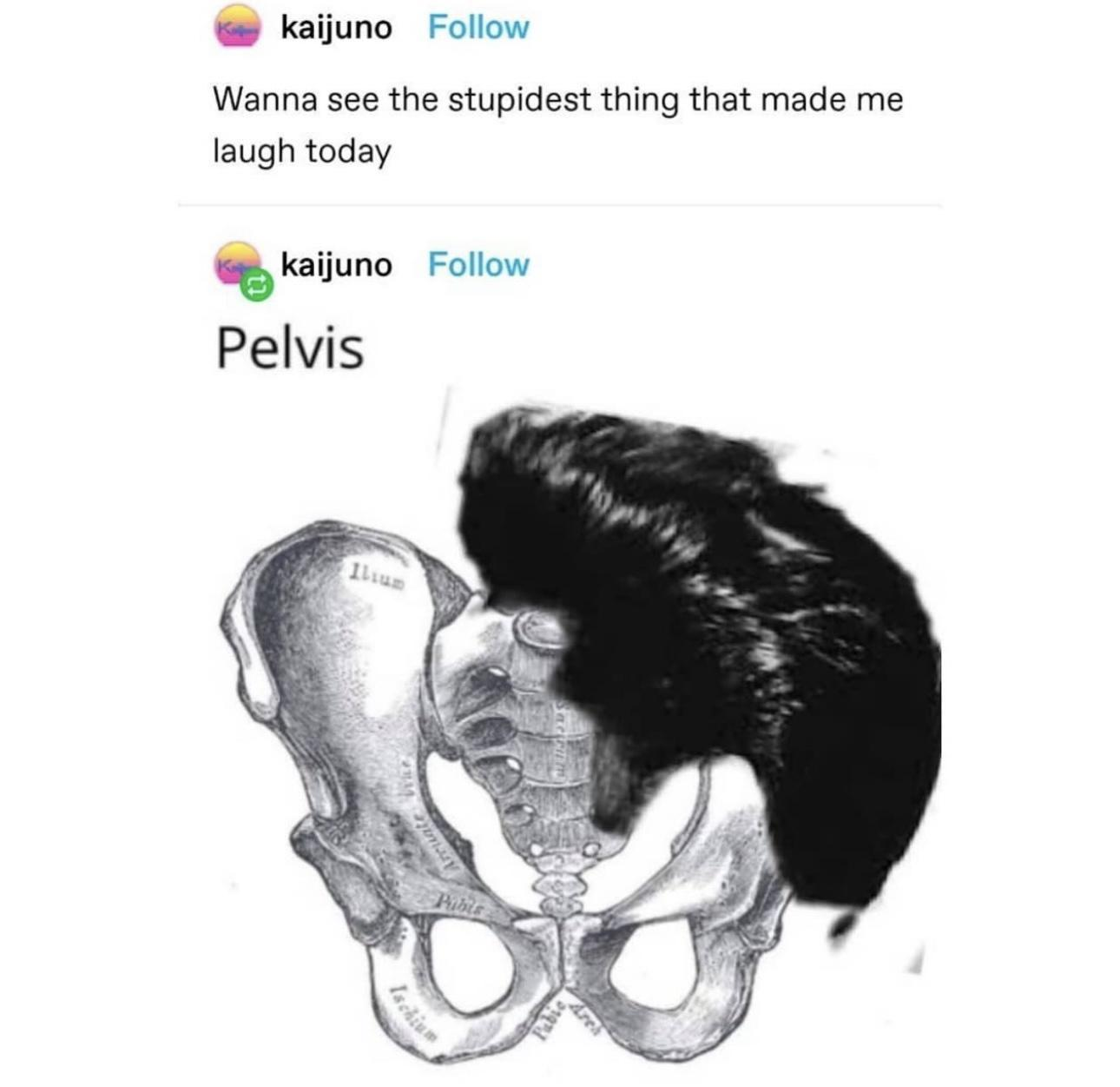 1709930185484.png