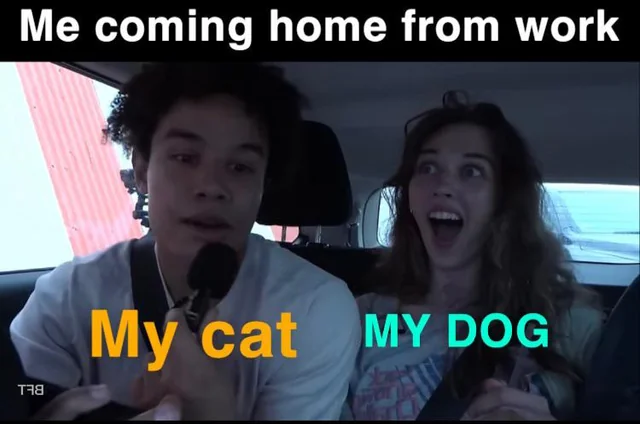 1710444674243.png