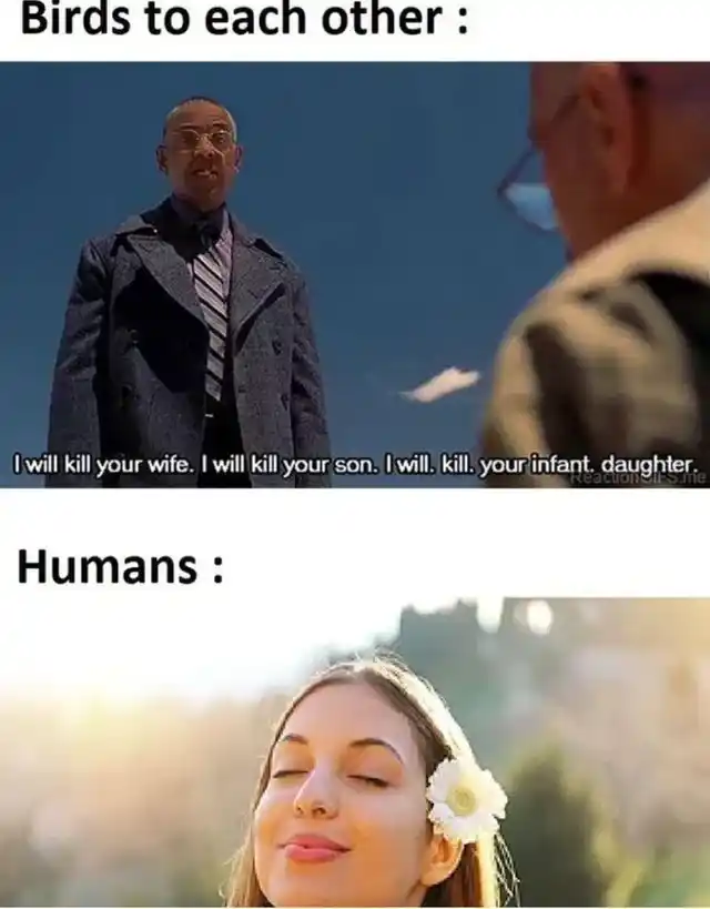 1710890868704.png