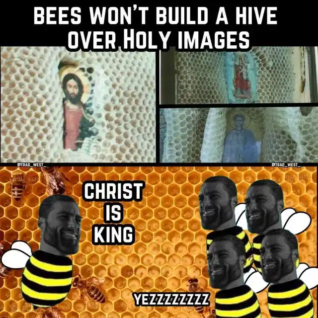 1711042277226.png