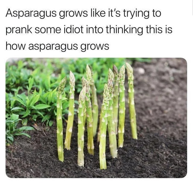 1711042843591.png