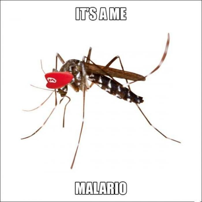 1711490752989.png