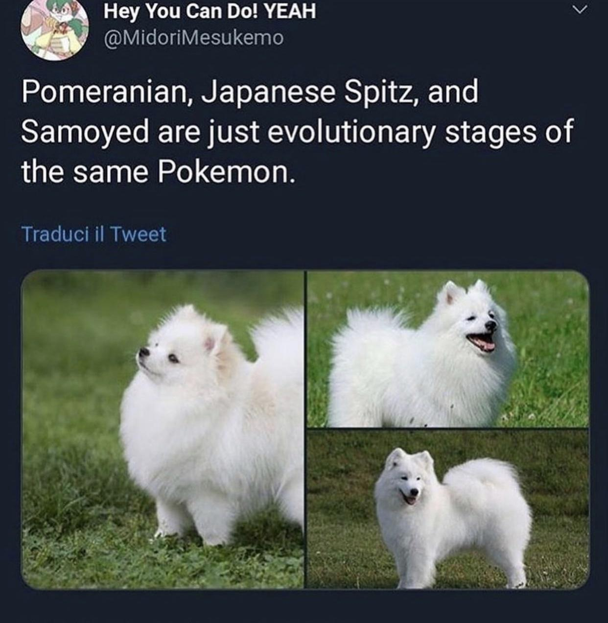 1711707644470.png