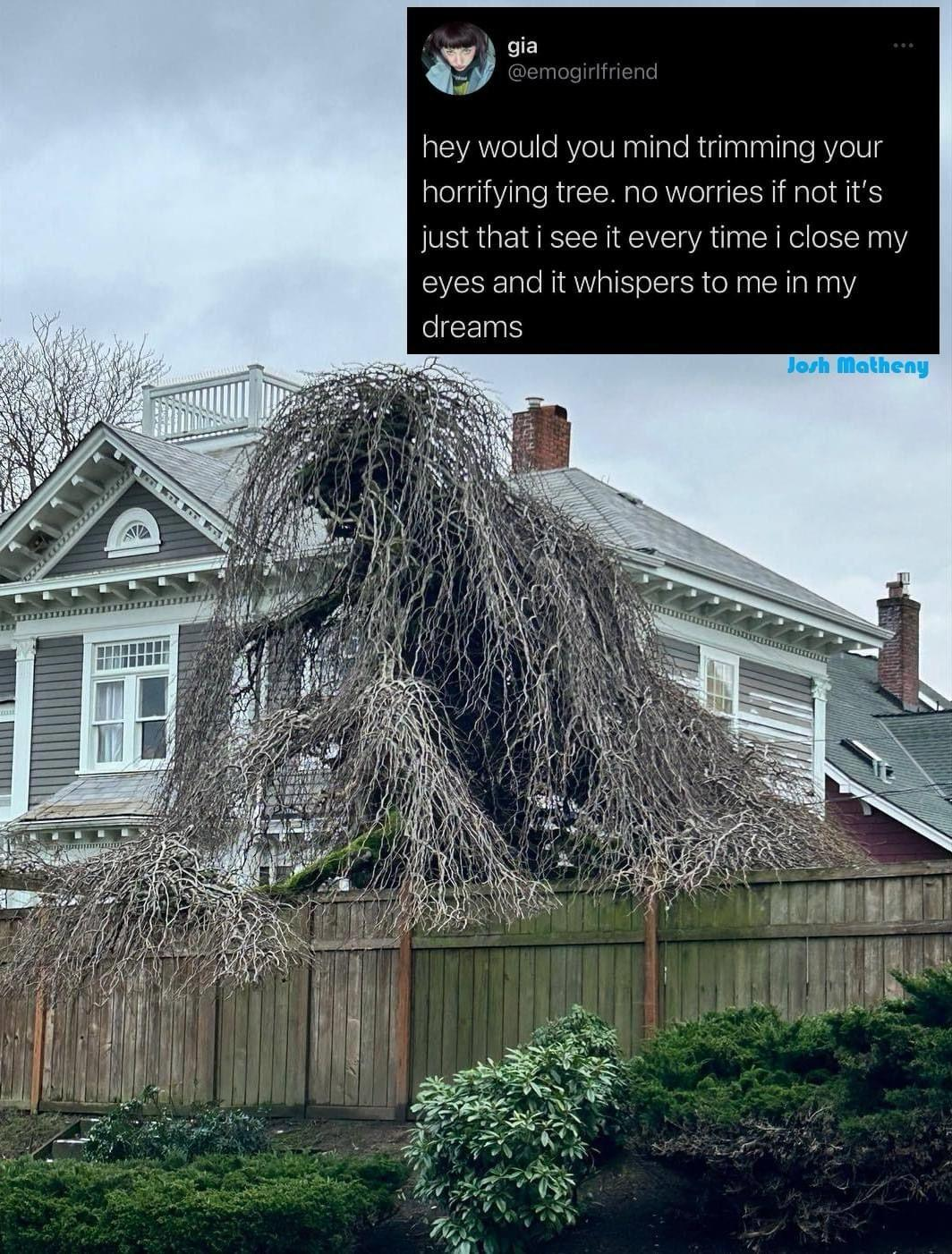 1711959335579.png