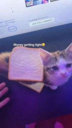 1712039438022.jpeg