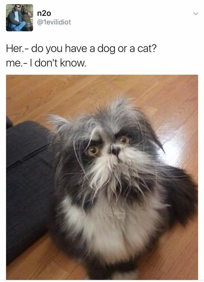 1712168599443.png