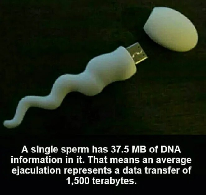 1712590799894.png