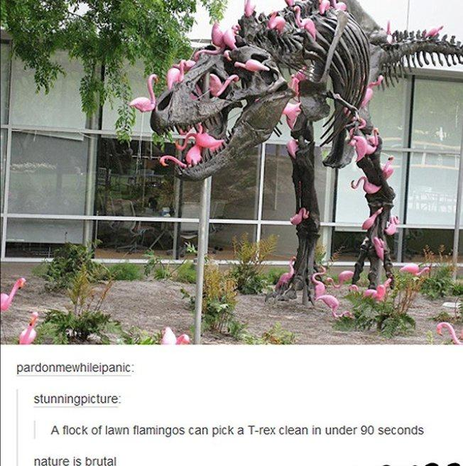 1712949419648.png