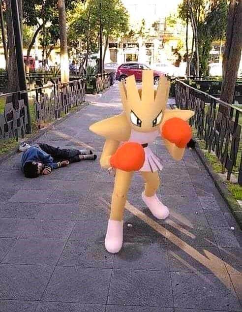 1716232519456.png