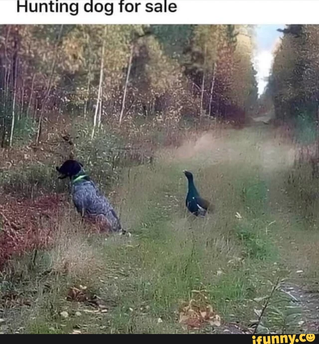 1716334494300.png