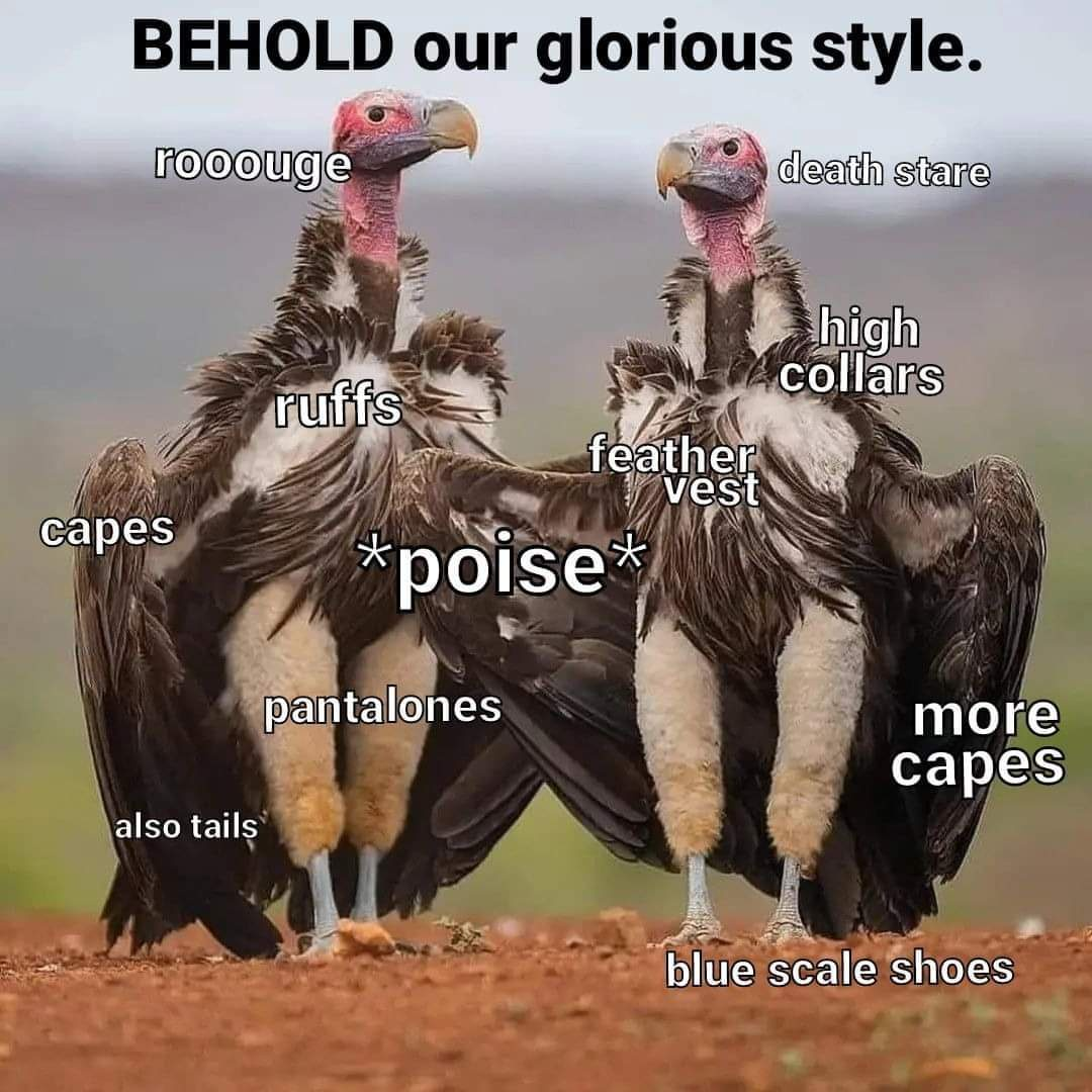 1716483953994.png