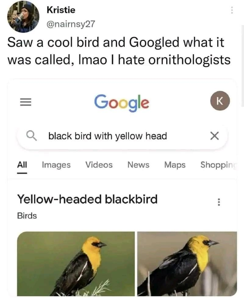 1716964666327.png