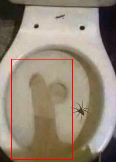 1718860664317.png