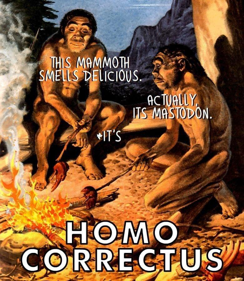 1719231668547.png