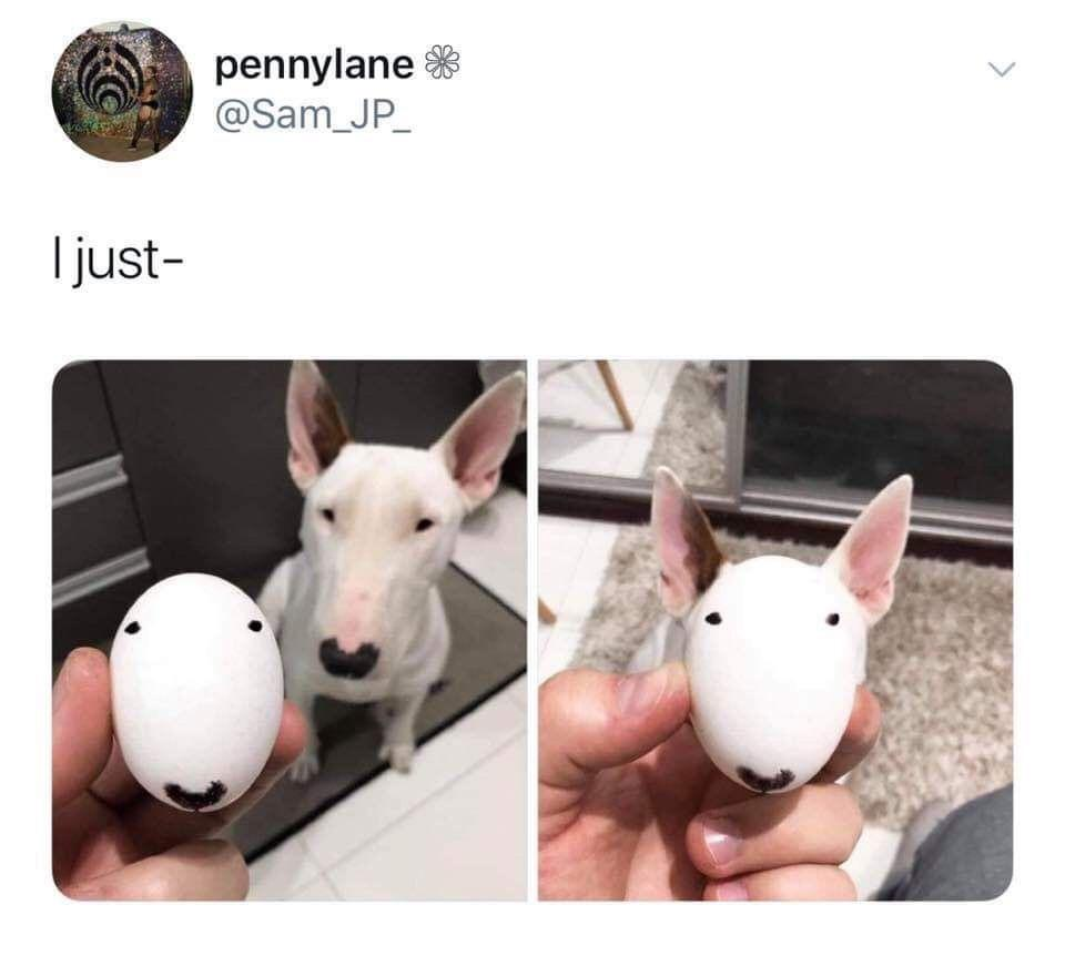 1719592463554.png