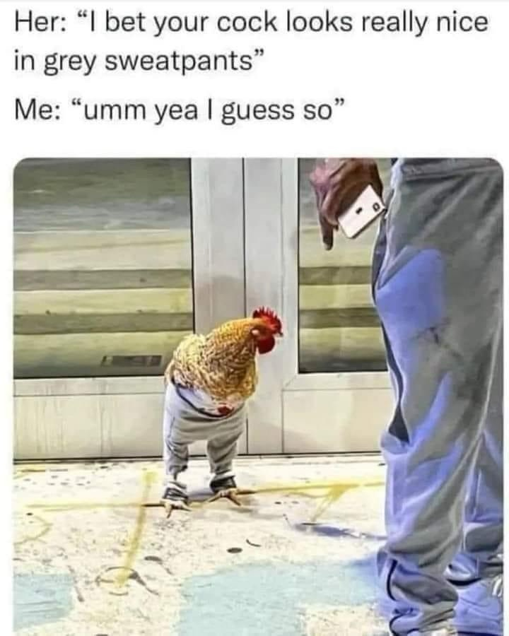 1719683888303.png