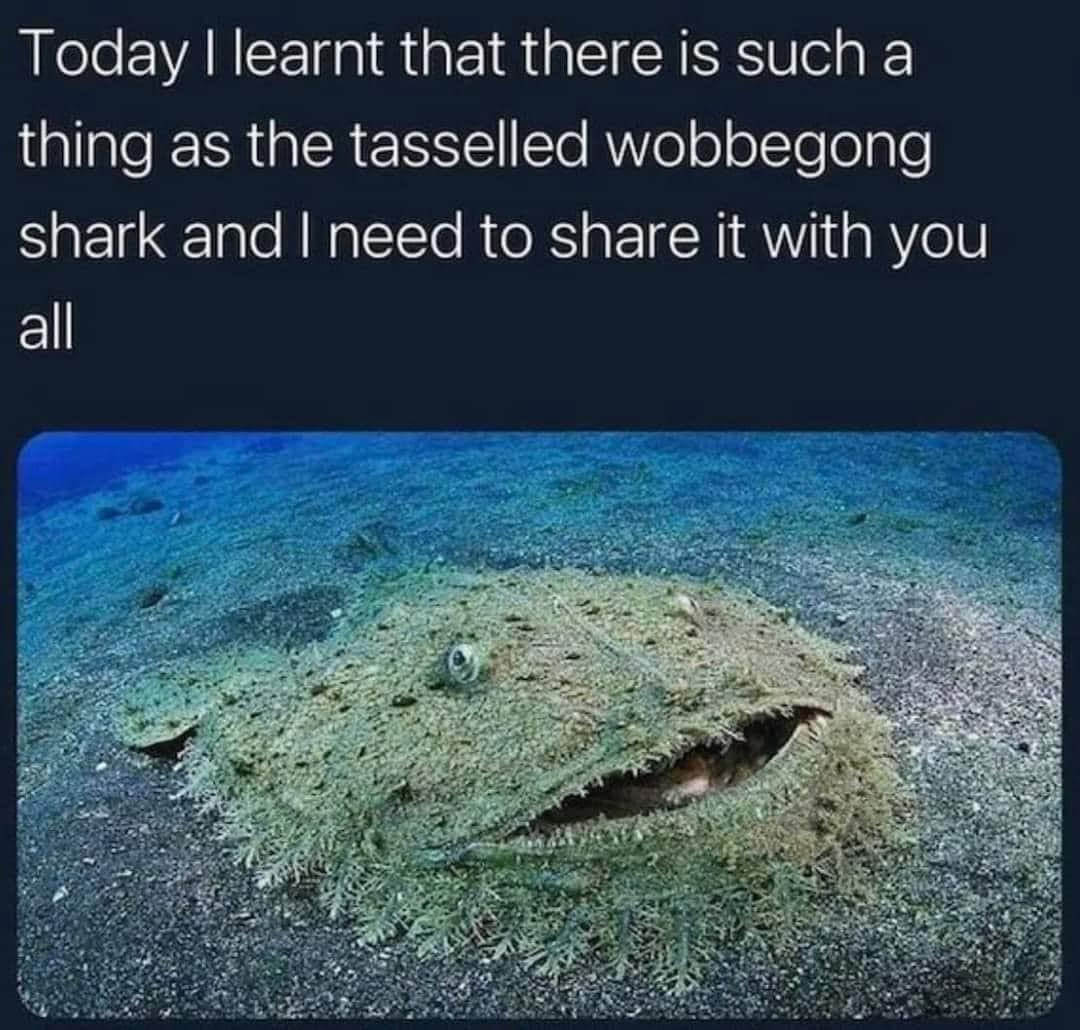 1719773960731.png