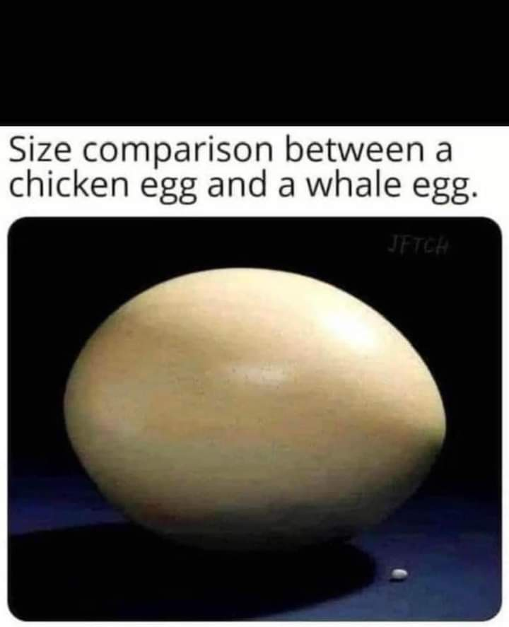 1719780952504.png