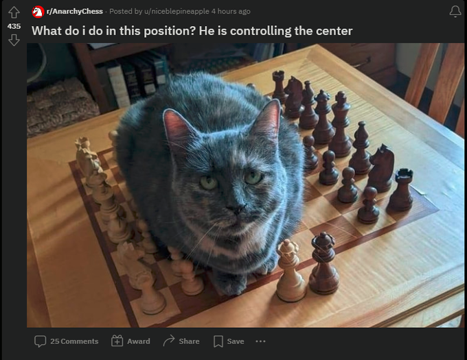 1719825451672.png