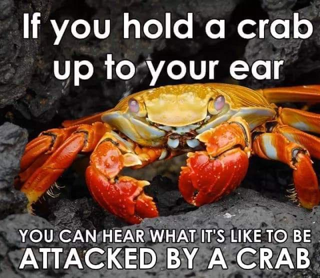 1721404609049.png