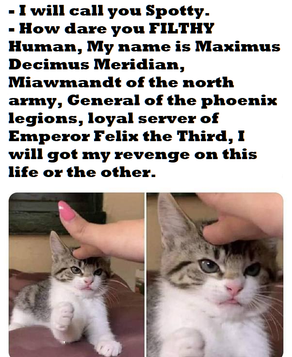 1721887432858.png