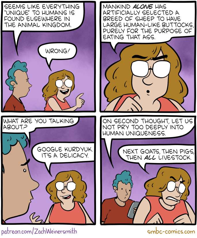 1721893075889.png