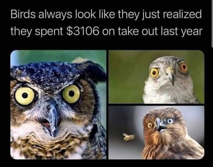 1721894059825.png