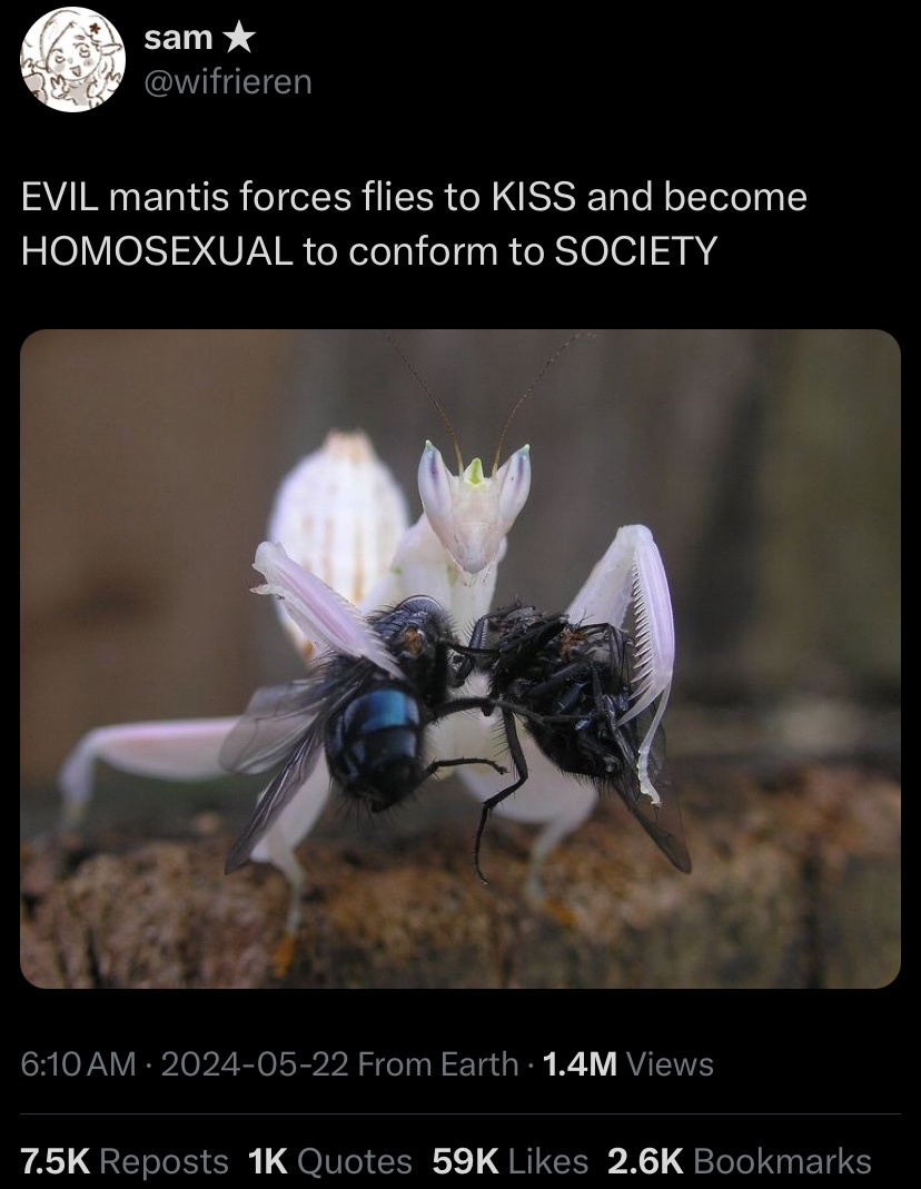 1721920873433.png