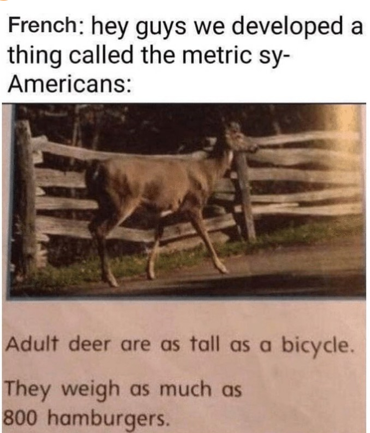 1722603531676.png