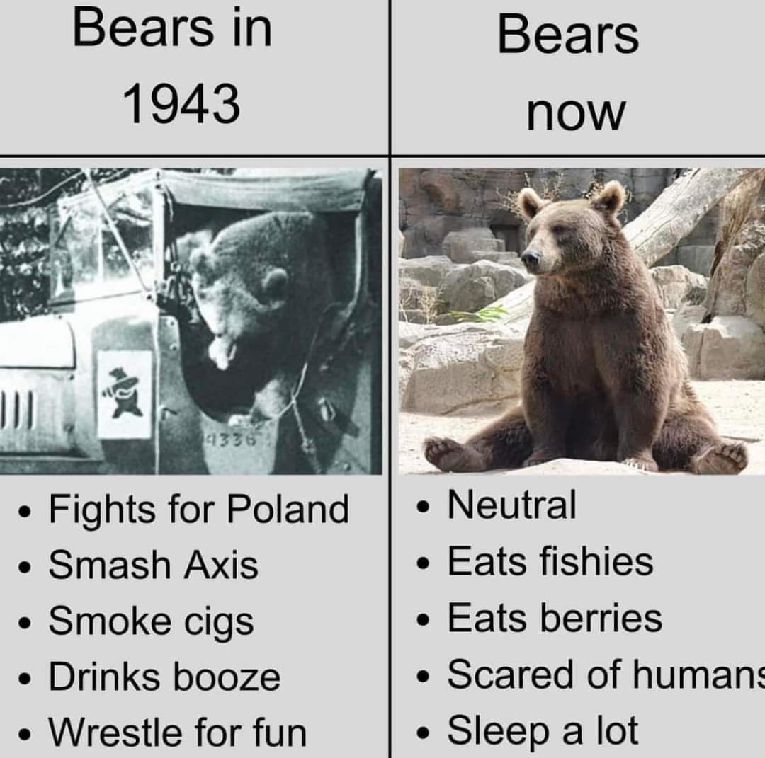 1722701309796.png