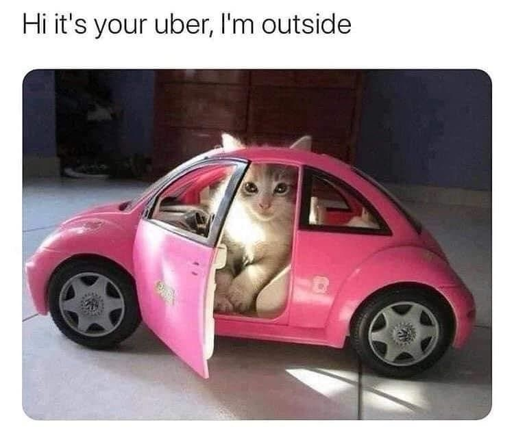 1722794063964.png